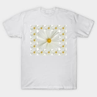 Light And Crisp T-Shirt